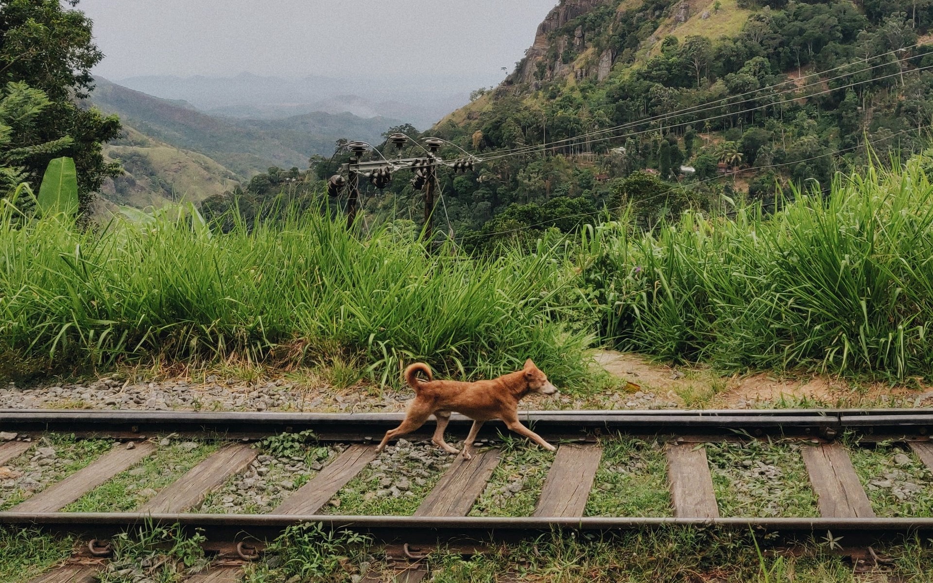 鉄道の動力源